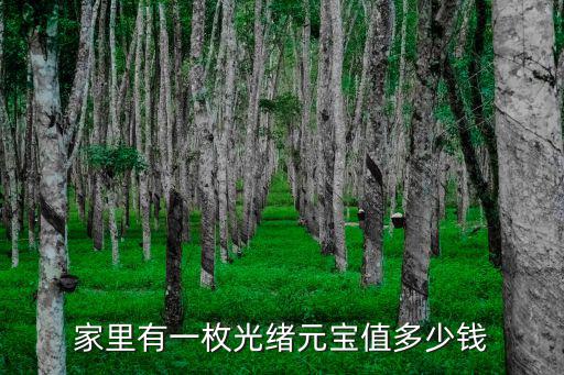 光緒元寶河北省值多少錢一枚,家里有一枚光緒元寶值多少錢