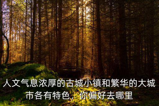 人文氣息濃厚的古城小鎮(zhèn)和繁華的大城市各有特色，你偏好去哪里