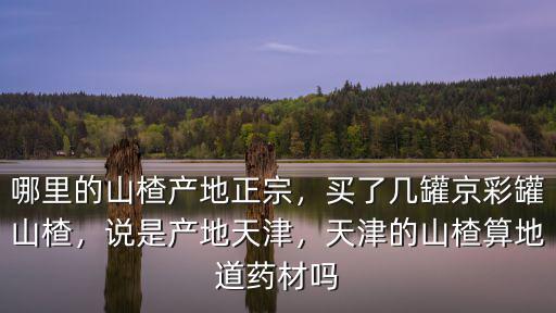 南陽哪里可以買到正宗山楂,哪里的山楂產地正宗