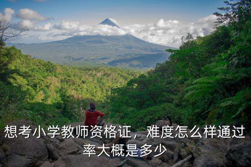河北教師資格證通過率是多少,通過率大概是多少