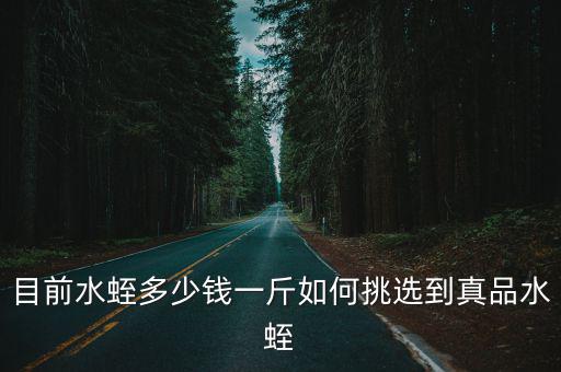目前水蛭多少錢一斤如何挑選到真品水蛭
