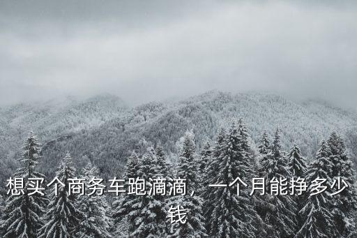 想買個商務(wù)車跑滴滴，一個月能掙多少錢