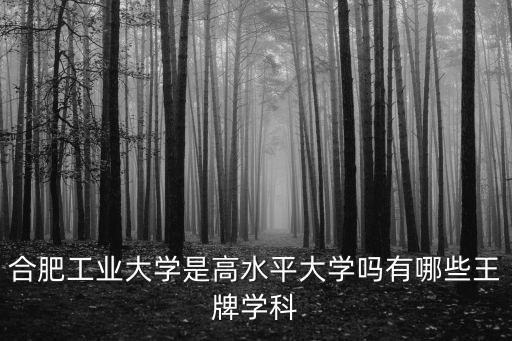 合肥工業大學是高水平大學嗎有哪些王牌學科