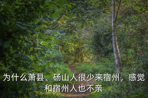為什么蕭縣、碭山人很少來宿州，感覺和宿州人也不親