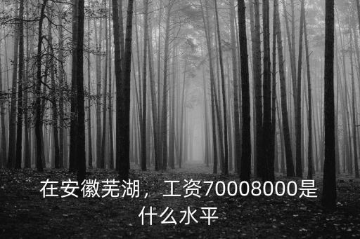 在安徽蕪湖，工資70008000是什么水平