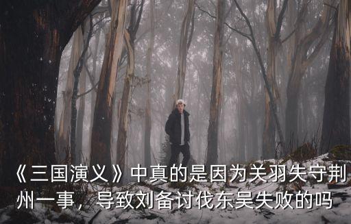 《三國演義》中真的是因為關羽失守荊州一事，導致劉備討伐東吳失敗的嗎