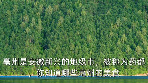 亳州的這些風(fēng)味小吃你知道多少,你知道哪些亳州的美食
