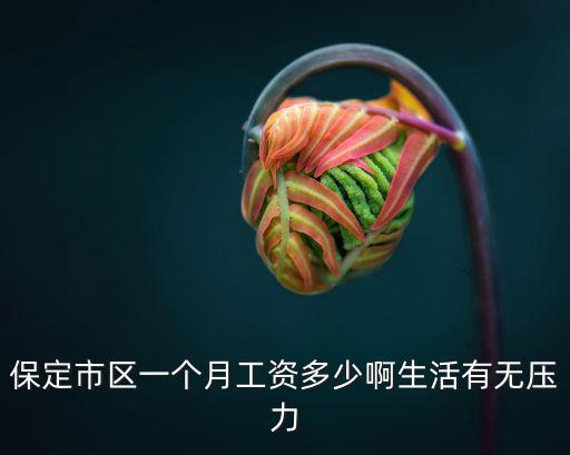 保定市區一個月工資多少啊生活有無壓力