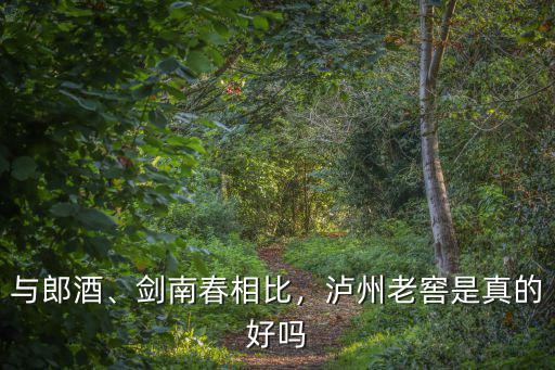 與郎酒、劍南春相比，瀘州老窖是真的好嗎