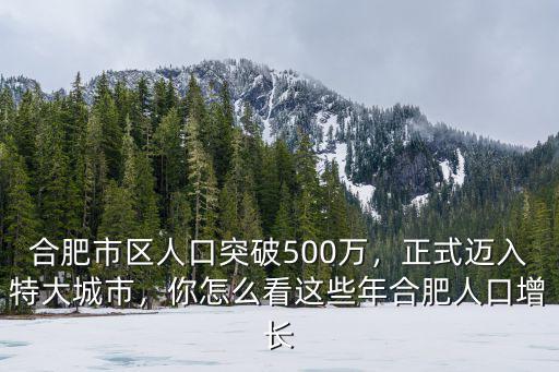 合肥每年增長多少人口,合肥每年能增加多少人口