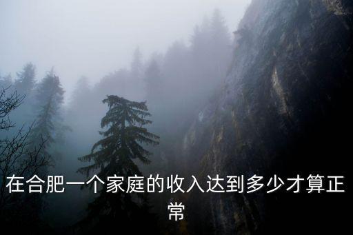 合肥年收入多少算高,家庭年收入多少才能算小康