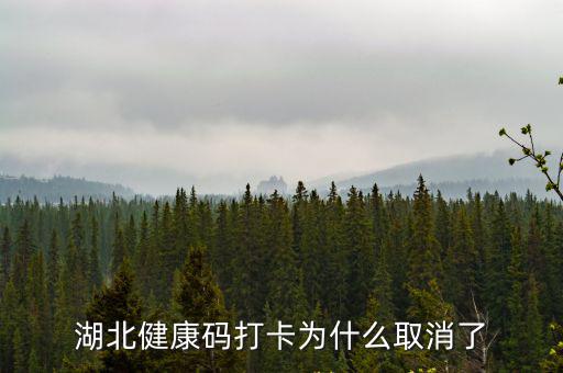 湖北健康碼中間有一天忘記打卡了怎么辦,湖北健康碼打卡為什么取消了