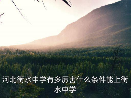 河北衡水中學多少分會被錄取,河北衡水中學有多厲害