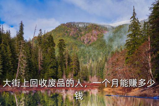 大街上回收廢品的人，一個月能賺多少錢