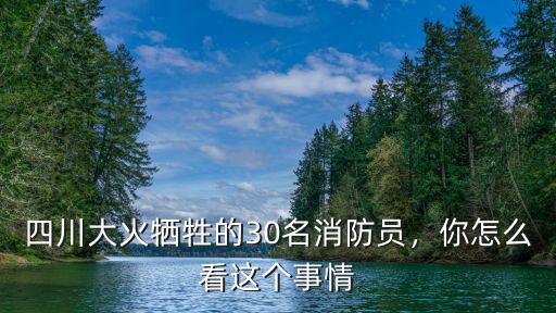 四川火災犧牲的都是哪里的,四川大火犧牲的30名消防員