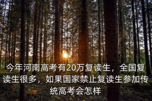 今年河南高考有20萬復讀生，全國復讀生很多，如果國家禁止復讀生參加傳統高考會怎樣