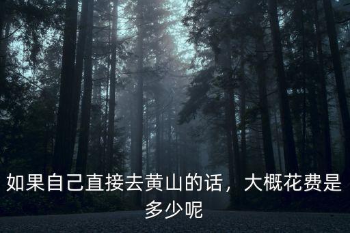 黃山旅游大概需要花多少,大概花費是多少呢