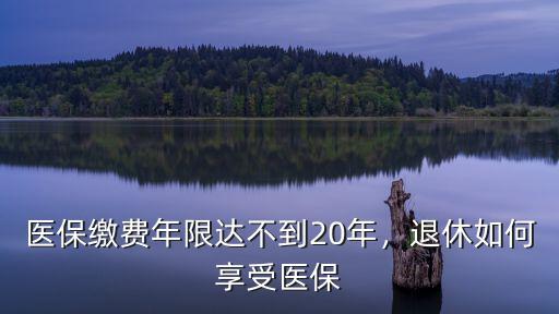 合肥醫保繳費多少年可以辦退休,醫保繳費年限達不到20年