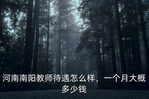 河南南陽教師待遇怎么樣，一個月大概多少錢