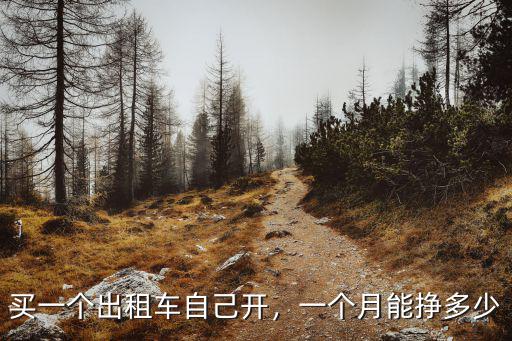 在宣城開出租車一天能掙多少錢,開出租車一個月賺多少錢