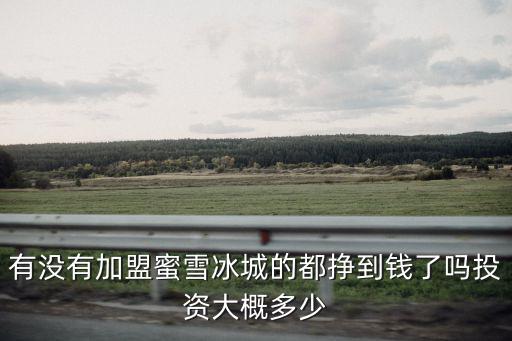 六安蜜雪冰城加盟多少錢,蜜雪冰城加盟需要多少錢