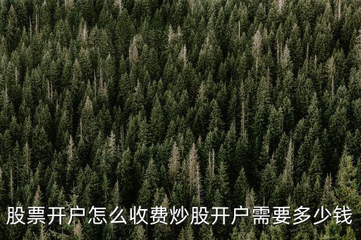 衡水證券開戶費多少錢,炒股開戶需要多少錢