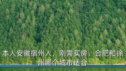 本人安徽宿州人，剛需買房，合肥和徐州哪個(gè)城市適合