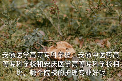 安徽醫學高等專科學校、安徽中醫藥高等專科學校和安慶醫學高等專科學校相比，哪個院校的護理專業好呢