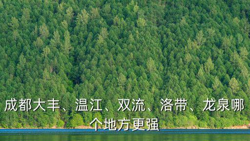 成都大豐、溫江、雙流、洛帶、龍泉哪個地方更強