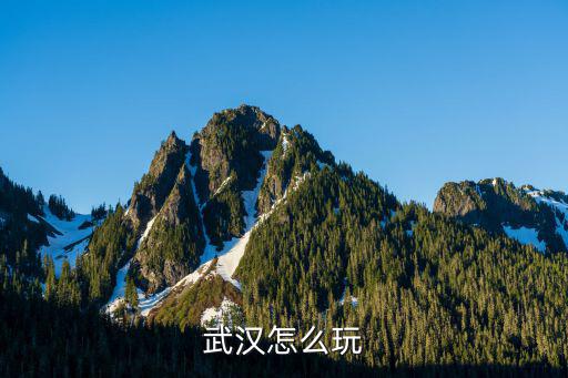 武漢暢玩一天怎么玩,一個人怎么在武漢玩