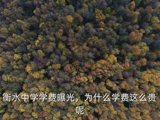 衡水中學學費曝光，為什么學費這么貴呢