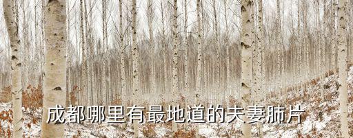 成都哪里有地道的川菜館,成都哪里有最地道的夫妻肺片