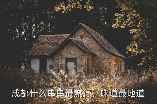 成都街頭最辣串串在哪里,成都什么串串最流行