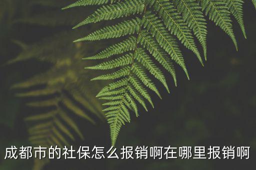 成都市溫江醫保報賬在哪里,在哪里報銷啊