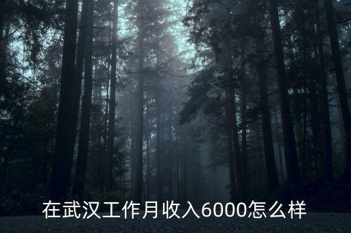 在武漢工作月收入6000怎么樣