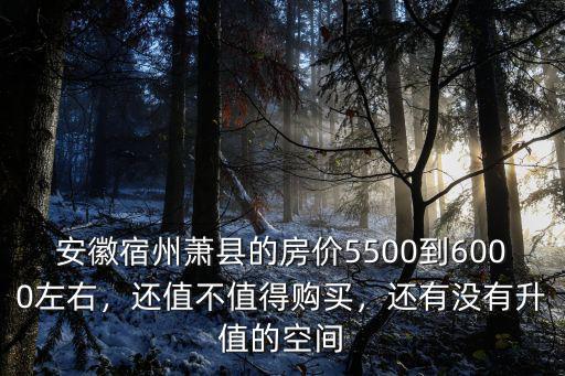 安徽宿州蕭縣的房價5500到6000左右，還值不值得購買，還有沒有升值的空間