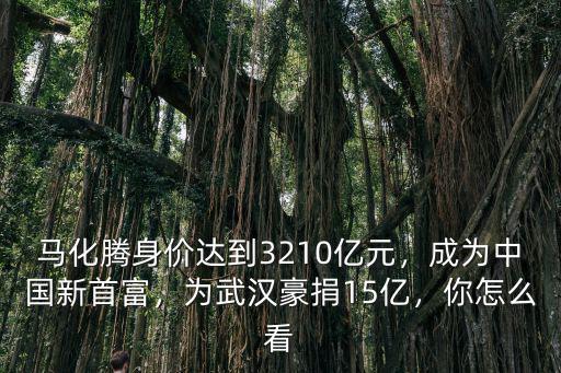馬化騰身價達到3210億元，成為中國新首富，為武漢豪捐15億，你怎么看