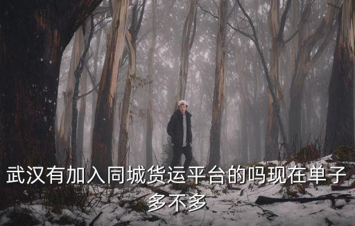 武漢有加入同城貨運平臺的嗎現在單子多不多