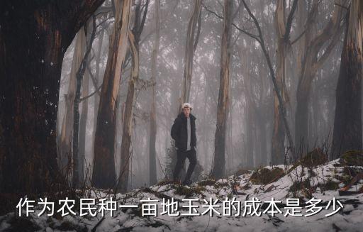 作為農民種一畝地玉米的成本是多少