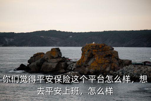 你們覺得平安保險這個平臺怎么樣，想去平安上班，怎么樣