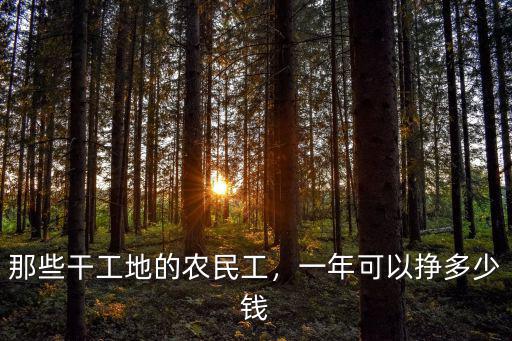 那些干工地的農(nóng)民工，一年可以掙多少錢