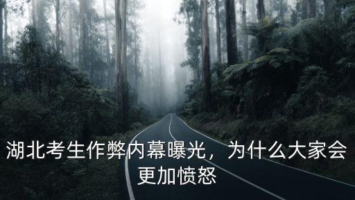 湖北考生作弊內幕曝光，為什么大家會更加憤怒