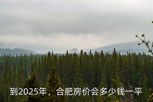到2025年，合肥房價會多少錢一平