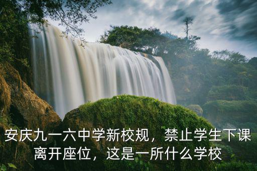 安慶市九一六學校有多少學生嗎,這是一所什么學校
