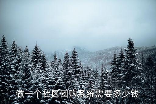 池州系統(tǒng)開(kāi)發(fā)要多少錢,開(kāi)發(fā)一套直播系統(tǒng)需要多少錢