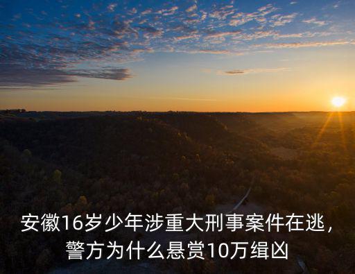 安徽16歲少年涉重大刑事案件在逃，警方為什么懸賞10萬緝兇
