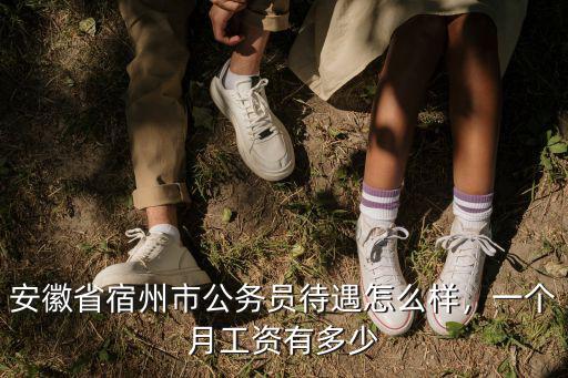 銅陵市科員一個(gè)月工資多少,一個(gè)月工資有多少