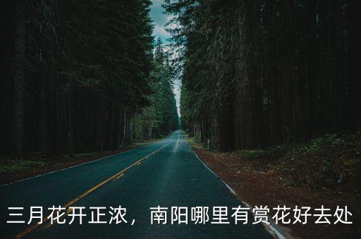 三月花開正濃，南陽哪里有賞花好去處