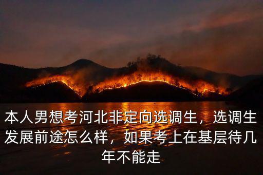 本人男想考河北非定向選調生，選調生發展前途怎么樣，如果考上在基層待幾年不能走