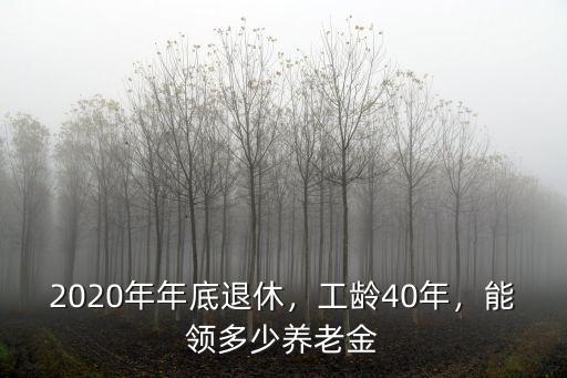 2020阜陽社保養老金領多少,能領多少養老金